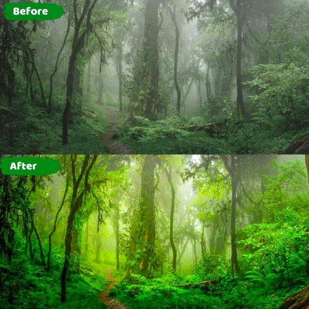 Beautiful Nature image