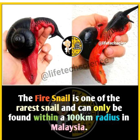 Interesting Posts image