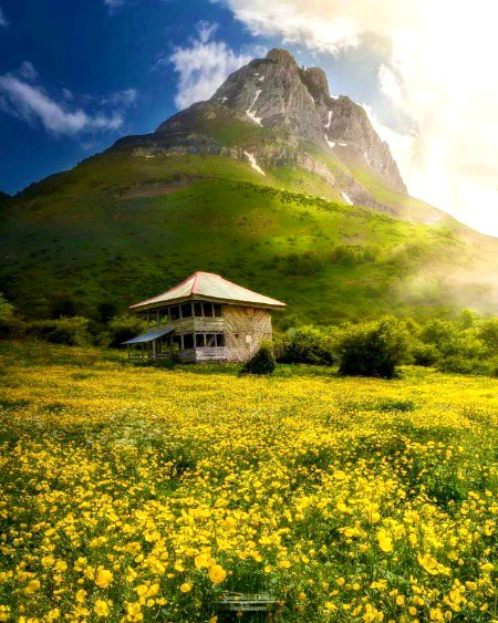 Beautiful Nature image