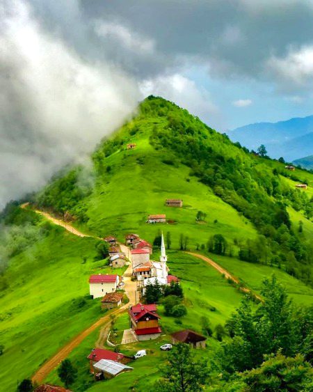 Beautiful Nature image