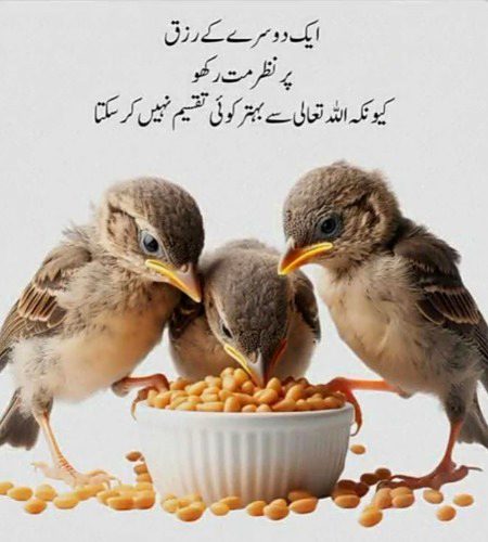 Life Advice image