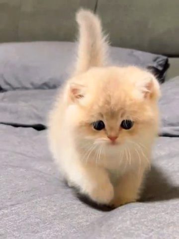 Beautiful Nature image