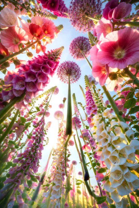 Beautiful Nature image