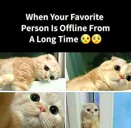 Memes & Satire image