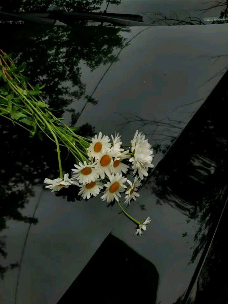 Beautiful Nature image