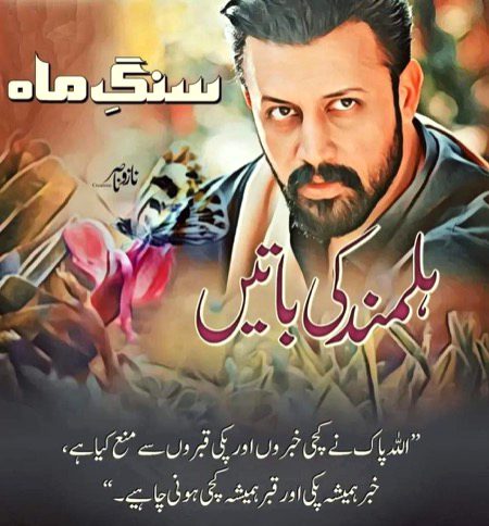 Romantic Novels image