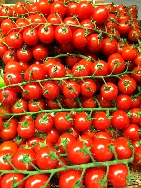 Beautiful Nature image