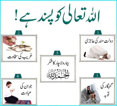 Islamic Quotes image