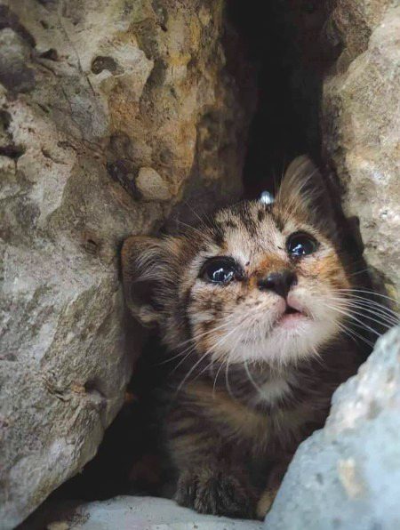 Beautiful Nature image