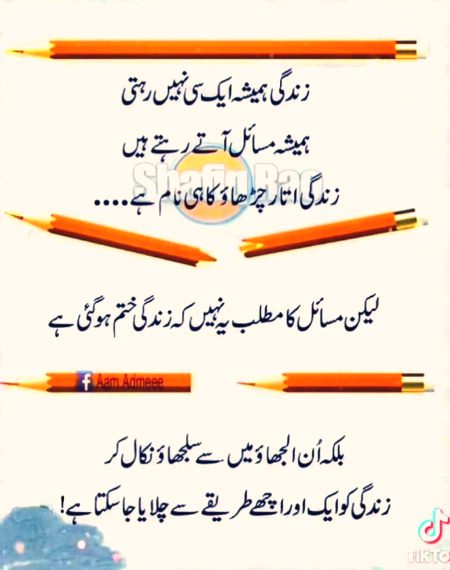 Pely log dil se bt krty thy ...or ajkl zrurt or mood k hisab se🙏☑️