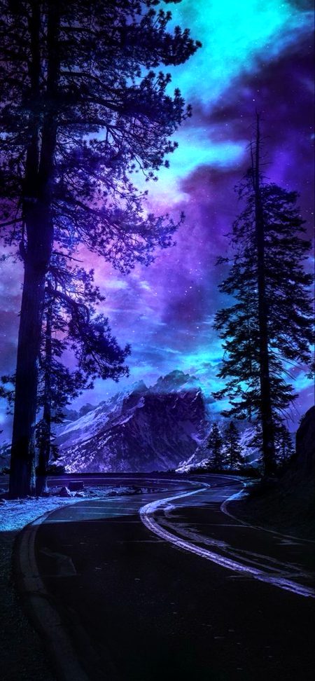 Digital ✨