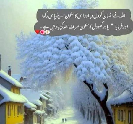 Islamic Quotes image