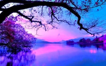 Beautiful Nature image