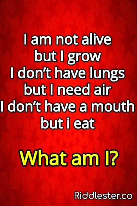 Riddles & Puzzles image