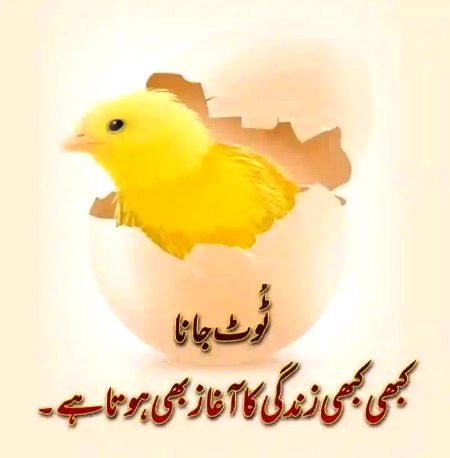 Life advise