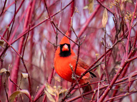 Beautiful Nature image