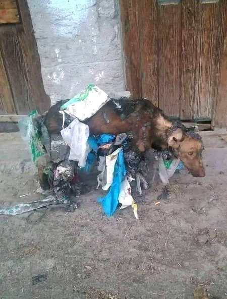 ہمیں الف "انار" سے زیادہ 
الف "انسانیت" سیکھنے کی ضرورت ھے۔۔۔!😭😥
