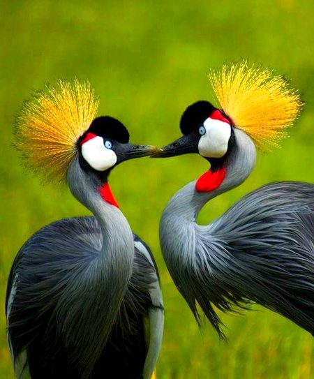 Beautiful Nature image