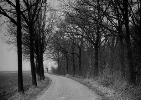 Beautiful Nature image