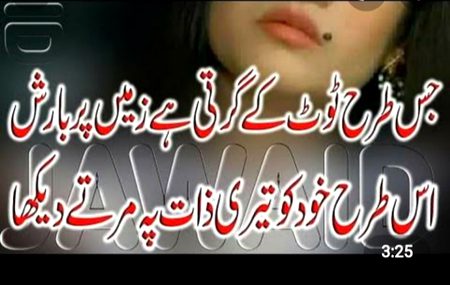 Alóñé Gírl 💔🤐