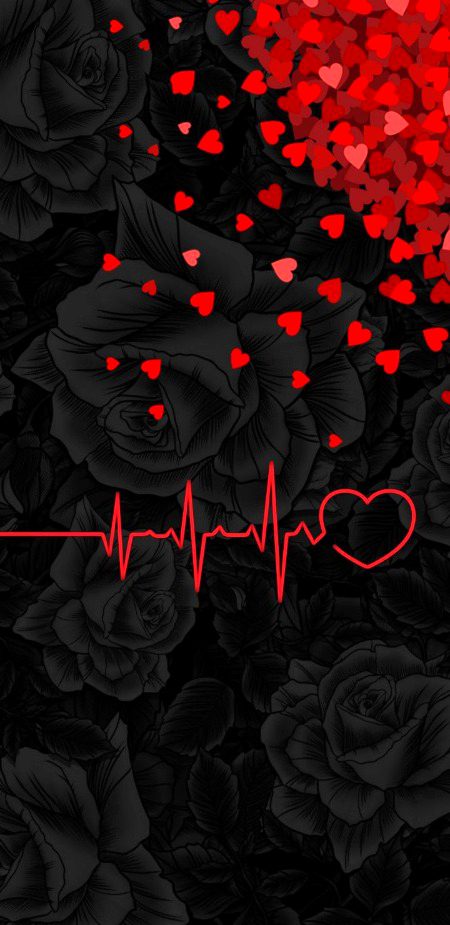 ✨✨🌹🌹💫💫