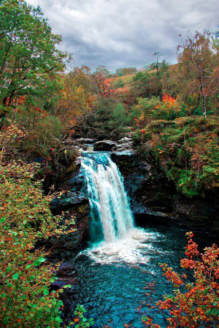 Beautiful Nature image