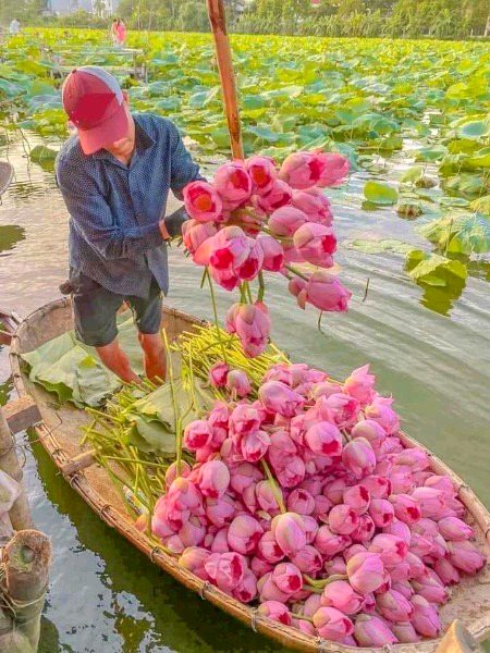 Beautiful Nature image