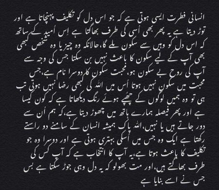 (✿^‿^)◉‿◉｡◕‿◕｡