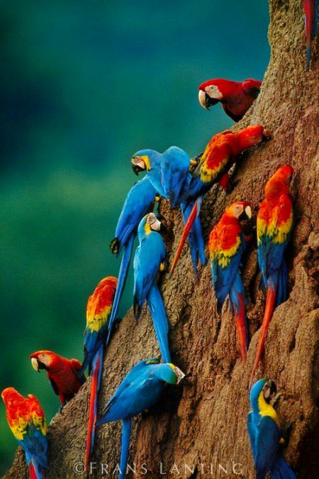 Beautiful Nature image