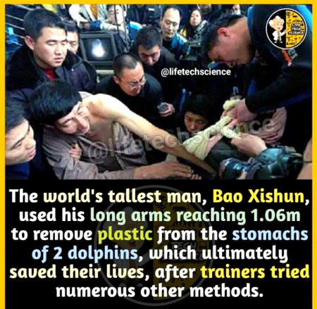 Interesting Posts image