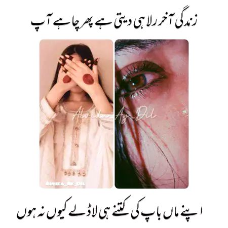 Tanha S khattak
