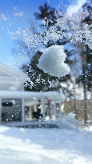 Beautiful Nature image