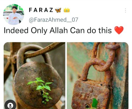 Islamic Quotes image