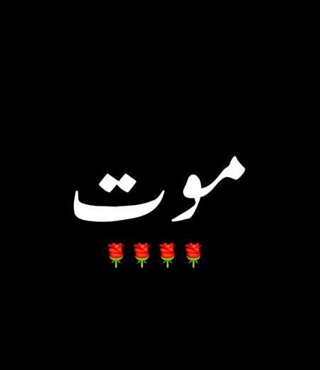 My last wish