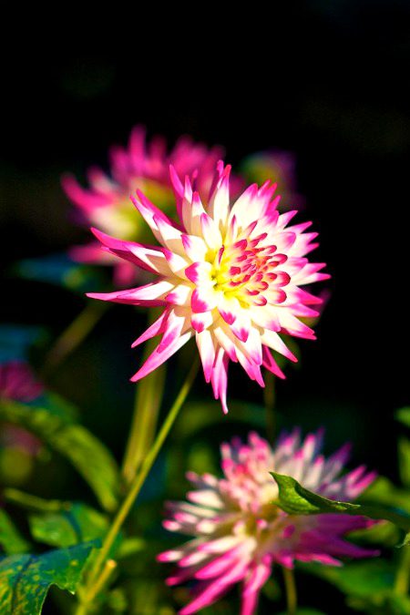 Beautiful Nature image