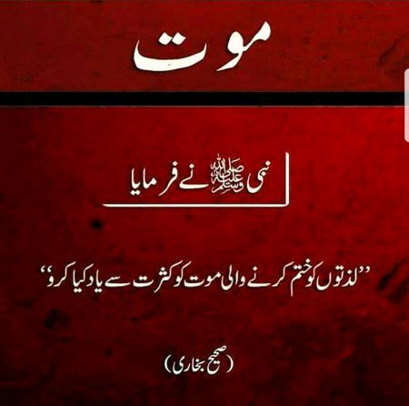 Islamic Quotes image