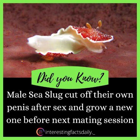 Interesting Posts image