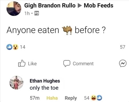 ٩(๑❛ᴗ❛๑)۶