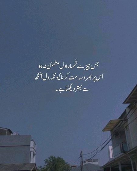 Life Advice image