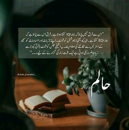 Suspense Novels image