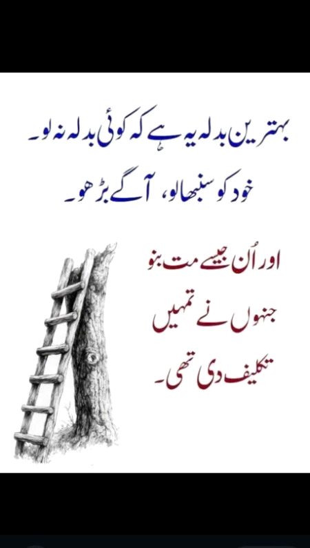 بہترین بدلہ