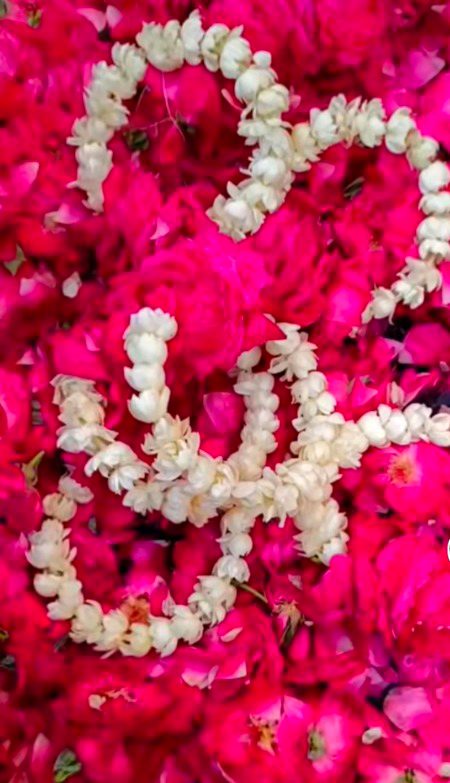 Beautiful Nature image