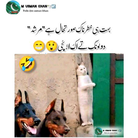 Memes & Satire image