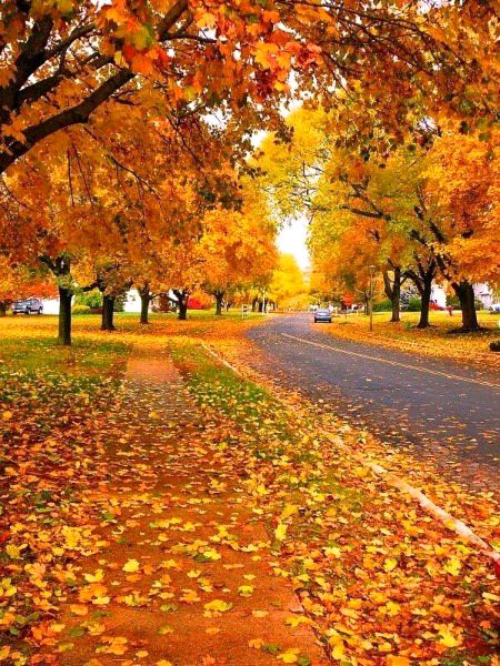 Beautiful Nature image