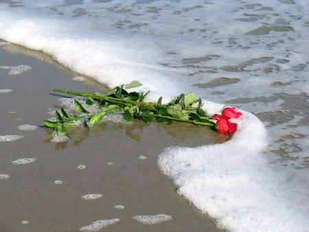 کوئی بھی چیز محبت سے اہم نہیں 
اور محب سے تو بلکل نہیں 
🖤🪻