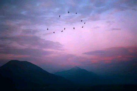 Beautiful Nature image