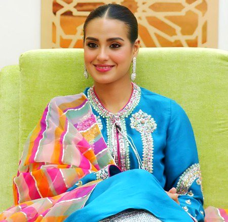 Pakistani Celebs image