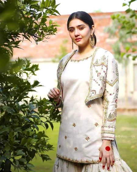 Pakistani Celebs image