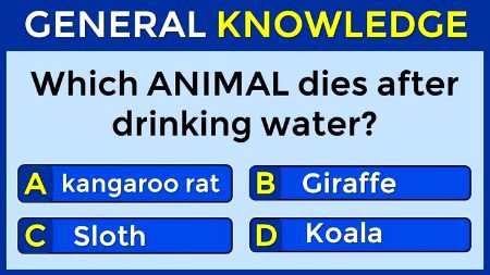 Knowledge Test image