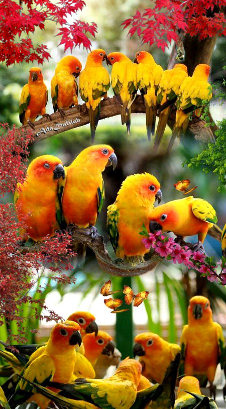 Romantic Novels image